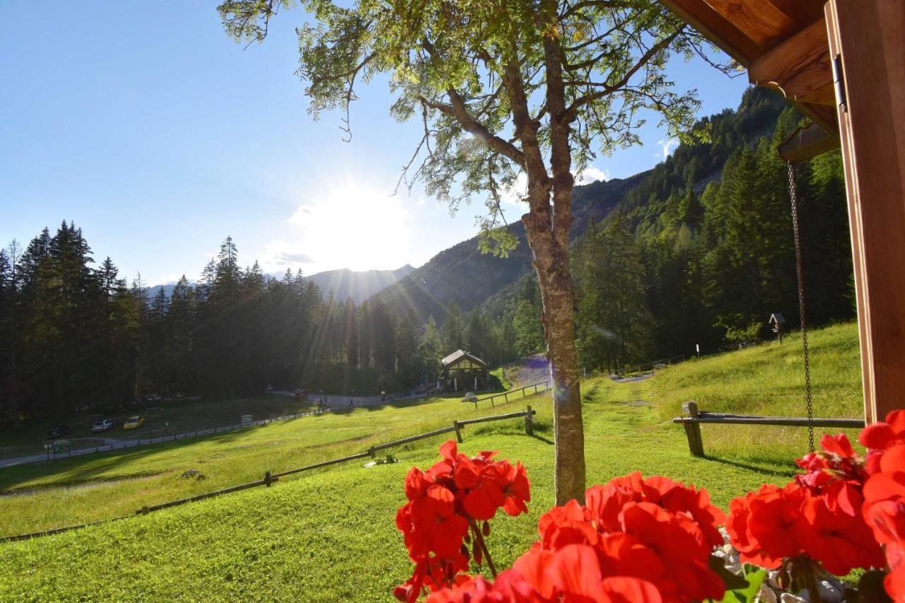 Chalet Brenta Dolomites Villa Madonna Esterno foto