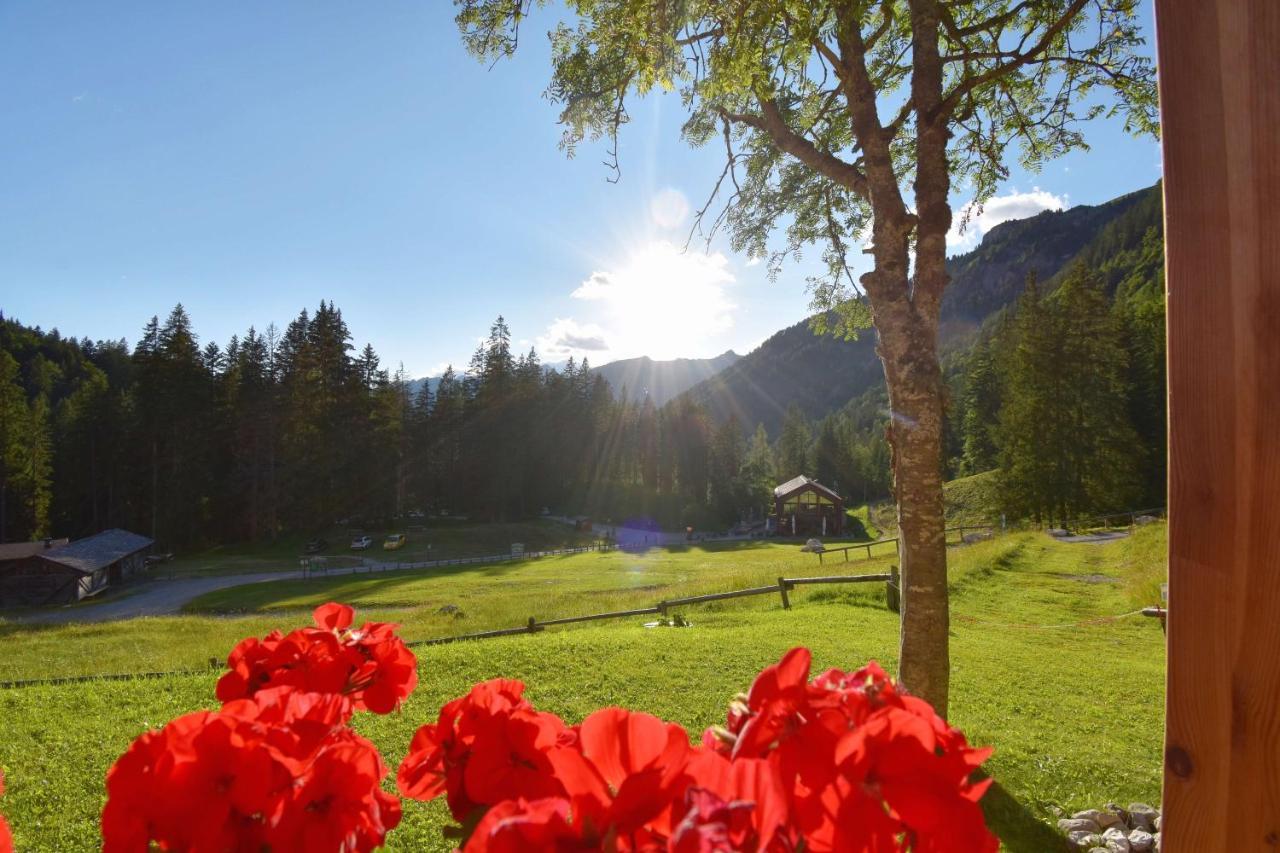 Chalet Brenta Dolomites Villa Madonna Esterno foto