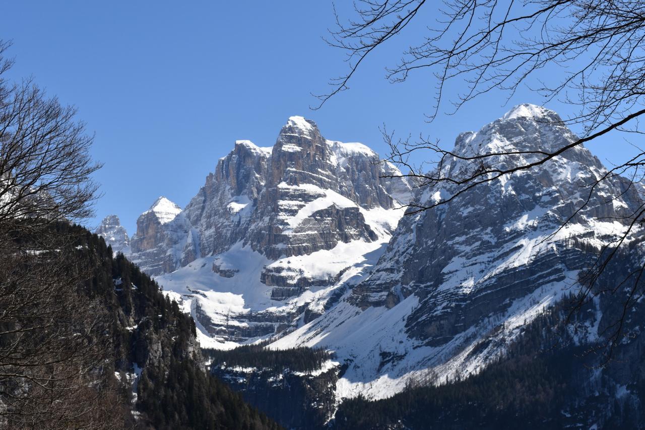 Chalet Brenta Dolomites Villa Madonna Esterno foto