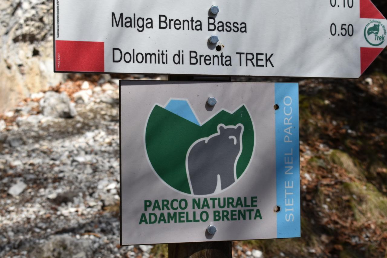 Chalet Brenta Dolomites Madonna Esterno foto