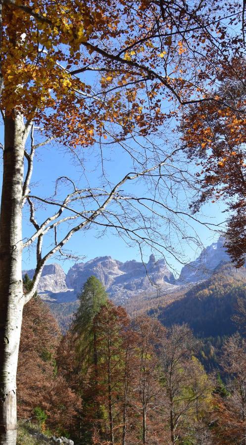 Chalet Brenta Dolomites Villa Madonna Esterno foto